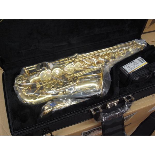 【新品・即納・特典付】セルマー・SA80・シリーズ2・ジュビリー・ゴールドラッカー彫刻入・アルトサッ...