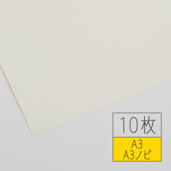 アラベール-FS 200kg ナチュラル A3 or A3ノビ・10枚