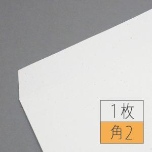 PELP! PAPER 100g 角形2号・1枚　 (送料無料)｜harajukukamiten