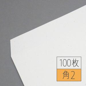 PELP! PAPER 100g 角形2号・100枚｜harajukukamiten