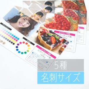 用紙サンプル（カード・特殊紙系）｜harajukukamiten