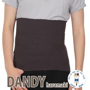 ダンディ はらまき 日本製 腹巻 メンズ シルク 薄手 暖かい おしゃれ オシャレ 温める あったか 保温 腸活 冷え取り 冷房対策 265 腹巻 専門のお店はらまき屋さんヤフー店 通販 Yahoo ショッピング