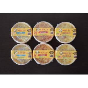 原藤グラタン３種６個セット