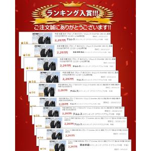 テムレス 防寒 防水 手袋 グローブ 01wi...の詳細画像1