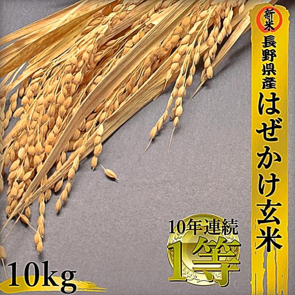 はぜかけ玄米 10kg 令和4年 長野県産 コシヒカリ 農家直送