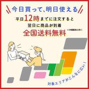 ナプラ エヌドット N. シアシャンプー(スム...の詳細画像2