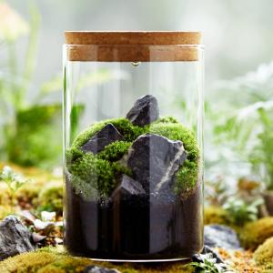 苔栽培 セット 盆栽 苔玉 の商品一覧 花 ガーデニング 通販 Yahoo ショッピング