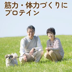 ソイプロテイン シニアプロテイン マルチビタミ...の詳細画像1