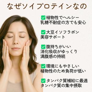 ソイプロテイン シニアプロテイン マルチビタミ...の詳細画像4