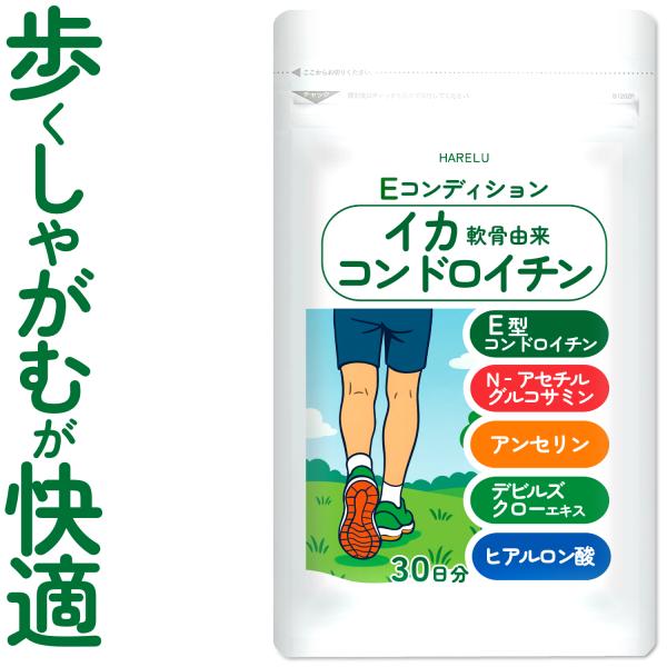 コンドロイチン サプリ E型コンドロイチン コンドロイチンE N-アセチルグルコサミン アンセリン ...