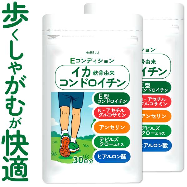 コンドロイチン サプリ E型コンドロイチン コンドロイチンE N-アセチルグルコサミン アンセリン ...