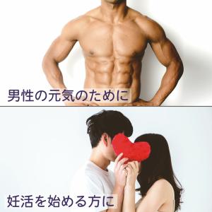 亜鉛 サプリメント 120日分 1日1粒 男性...の詳細画像5