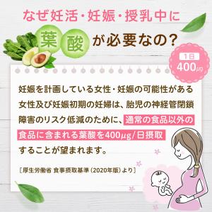 葉酸サプリ 60日分 妊婦 妊娠 授乳 鉄 鉄...の詳細画像2