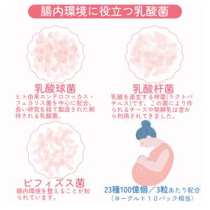 葉酸サプリ 60日分 妊婦 妊娠 授乳 鉄 鉄...の詳細画像5