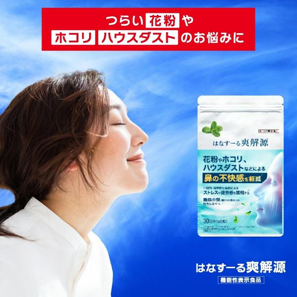 はなすーる爽解源 はなすーる サプリ サプリメント 機能性表示食品 単品 1日2粒 60粒入り 1ヶ...