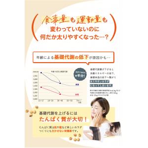 【公式】 SOY it protein そいっ...の詳細画像4