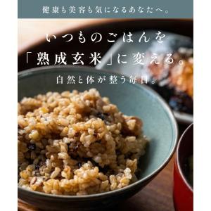 熟成玄米ごはん 5種 玄米 パック 10食 (...の詳細画像1