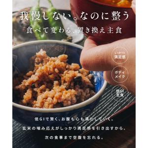 熟成玄米ごはん 5種 玄米 パック 10食 (...の詳細画像2