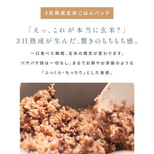 熟成玄米ごはん 5種 玄米 パック 10食 (...の詳細画像3
