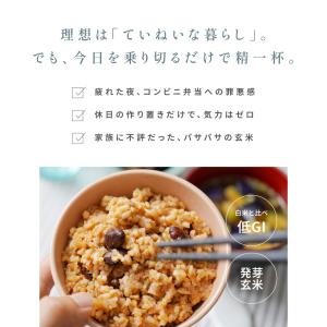熟成玄米ごはん 5種 玄米 パック 10食 (...の詳細画像4