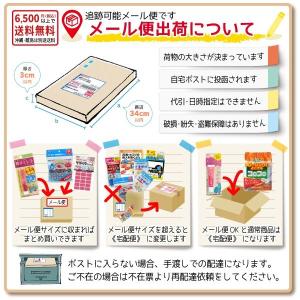 キレイキーパーはがせるシーリング材【2個までメ...の詳細画像3