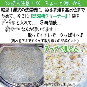 洗濯槽クリーナー 500gX2入 2箱セット【...の詳細画像3