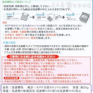 洗濯槽快 30g×8個 【メール便】【送料無料...の詳細画像1