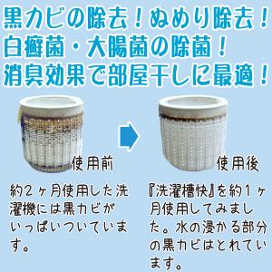 洗濯槽快 30g×8個 【メール便】【送料無料...の詳細画像4