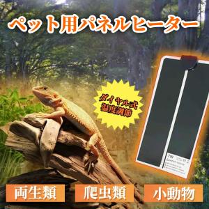 ズーメッド　レプティサンT5 HO テラリウムフード 24インチ　ライト付き ① レプティサンT5HOテラリウムフード24インチ 24W ズーメッド 販売