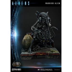 エイリアン ホラー ウォーリアーエイリアン Collectors Galleryの代引き注文不可商品 早期予約特典同梱 ゲーム おもちゃ スマホアプリも充実で毎日どこからでも気になる商品をその場でお求めいただけます 更にお得なpaypay残高も Hollywood ファンタジー代引き注文