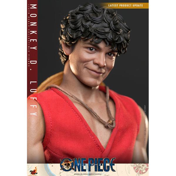 ONE PIECE（Netflix）　テレビ・マスターピース1/6スケールフィギュア　モンキー・D・...