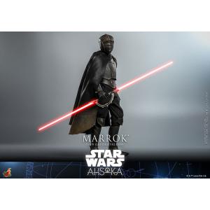 スター・ウォーズ:アソーカ テレビ・マスターピ...の詳細画像2