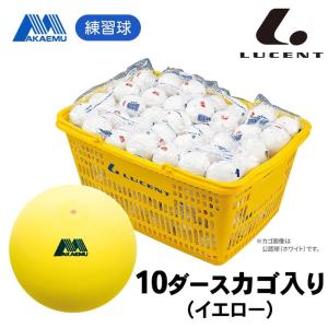 【新品・送料込】ソフトテニスボール・練習球・白（ナガセケンコー）10ダース NAGASE KENKO ナガセケンコー ソフトテニスボール 練習球 10