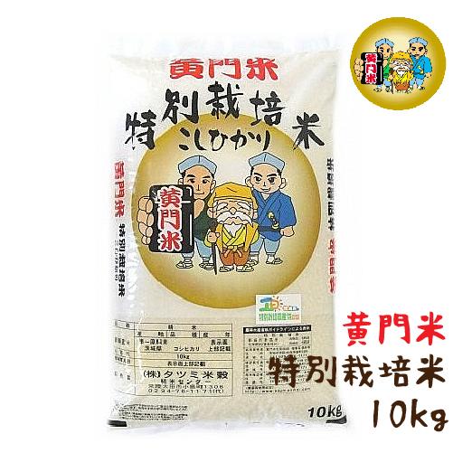 新米 令和7年産 白米 10kg 茨城県産 特別栽培米 コシヒカリ 黄門米 令和7年度産 タツミ米穀...