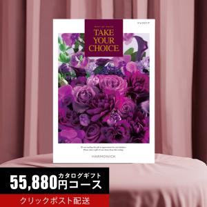カタログギフト 55990円コース テイク・ユア...の商品画像