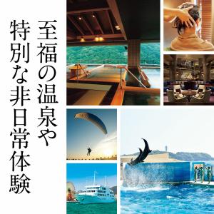 千趣会 ベルメゾンカタログギフトMUSUBI ...の詳細画像5