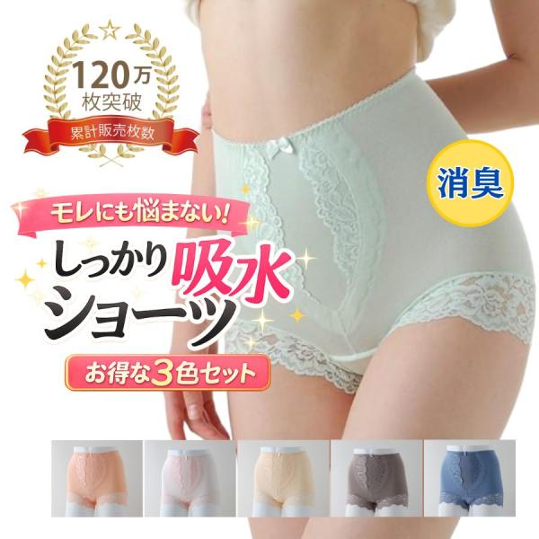 尿漏れパンツ 女性 吸水ショーツ WK320シルエットすっきりレースショーツ ３枚組 サニタリーショ...