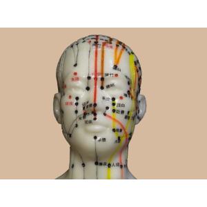 人体模型 けいけつくんII <WHO新規格対応...の詳細画像1