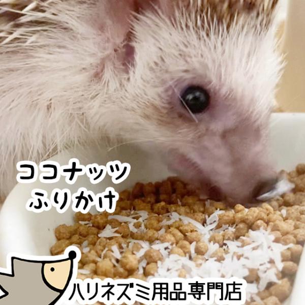 ゆうパケットOK ココナッツふりかけ 25g ハリネズミのふりかけ フード エサ 餌 メール便対応