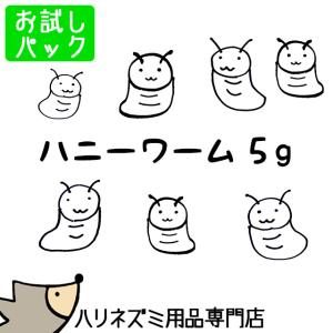 ゆうパケットOK　ドライハニーワーム　5g　お試し小分けパック　Exotic Nutrition　エキゾチックニュートリション　虫エサ　おやつ　メール便対応