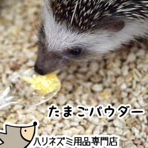 ゆうパケットOK たまごパウダー 20g メール便対応の商品画像