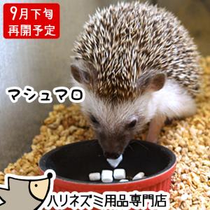 ハニーワームランキング ギガランキングｊｐ
