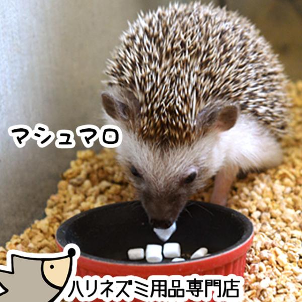 ゆうパケットOK はりねずみ用マシュマロ 20g おやつ フード エサ 餌 メール便対応
