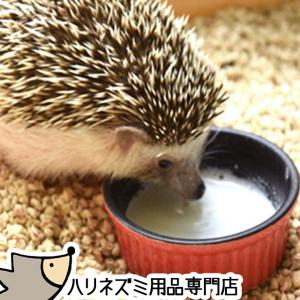 ゆうパケットOK　ハリネズミに最適！ヤギミルクパウダー　25g　ゴートミルク　メール便対応