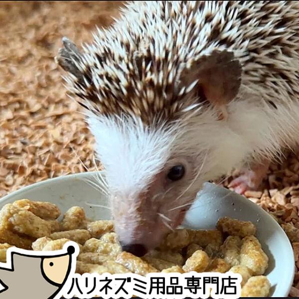 ゆうパケットOK ハリネズミのむしたまペレットフード「ふらつき配慮」 300g はりねずみんみん共和...