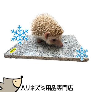 Fay edgehog Food (フェイ ハリネズミフード) 500g ハリネズミ用
