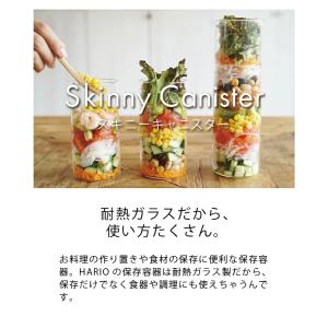 HARIO 公式 スキニーキャニスター200m...の詳細画像2