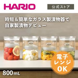 HARIO（ハリオ） 煎じ器 マイコン煎じ器 N 耐熱ガラス （ HARIO ハリオ