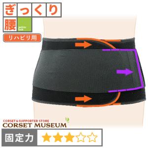 日本シグマックス 腰痛ベルト コルセット 医療用 医療 圧迫骨折 腰椎
