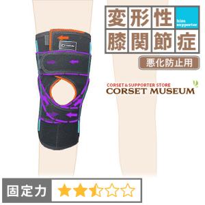 日本シグマックス 膝関節用サポーター エクスエイド ニーACL : wel